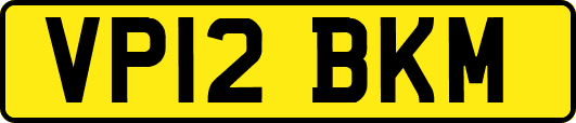 VP12BKM
