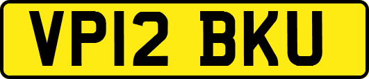 VP12BKU