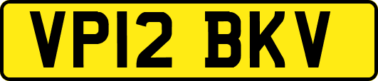 VP12BKV