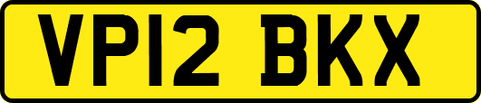 VP12BKX