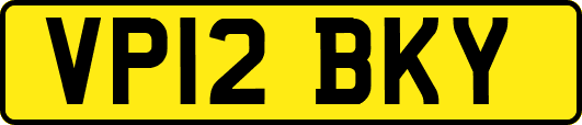 VP12BKY