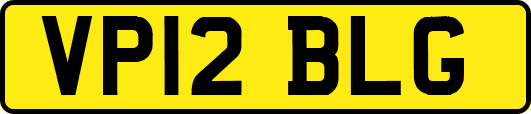 VP12BLG
