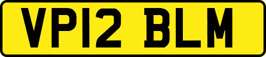 VP12BLM