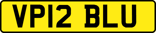 VP12BLU
