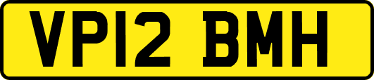 VP12BMH