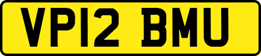 VP12BMU