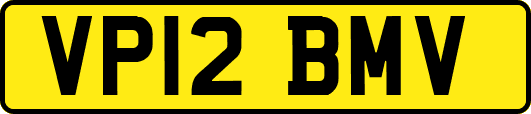 VP12BMV