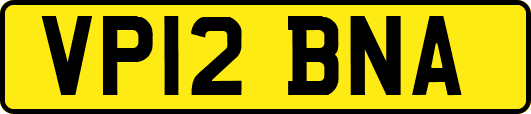VP12BNA