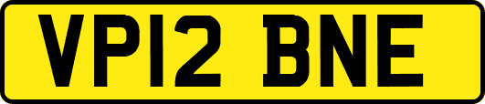 VP12BNE