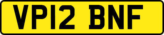 VP12BNF