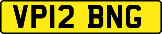 VP12BNG