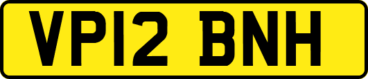 VP12BNH