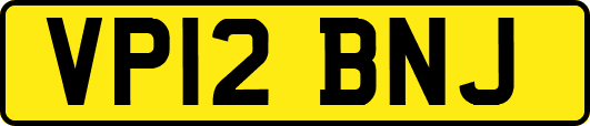 VP12BNJ
