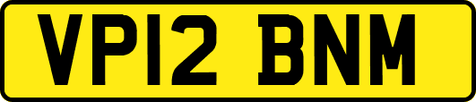 VP12BNM