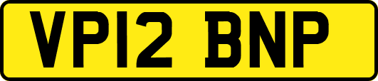 VP12BNP