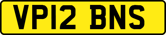 VP12BNS