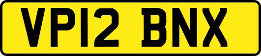 VP12BNX