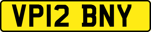 VP12BNY