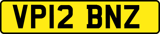 VP12BNZ