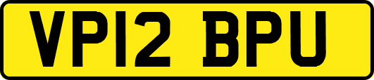 VP12BPU