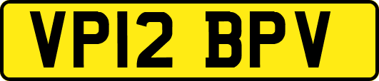 VP12BPV