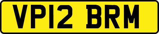 VP12BRM