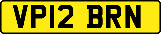 VP12BRN