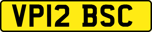VP12BSC