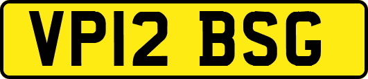 VP12BSG