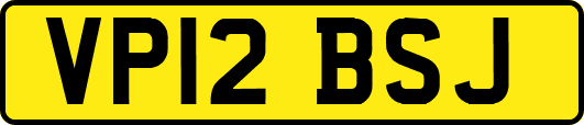 VP12BSJ