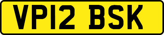 VP12BSK