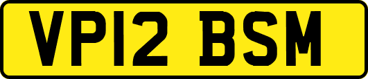 VP12BSM