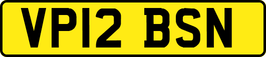 VP12BSN