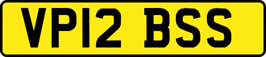 VP12BSS