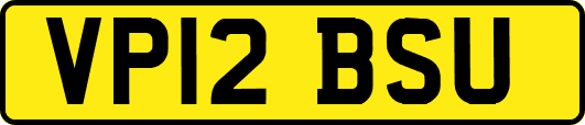 VP12BSU