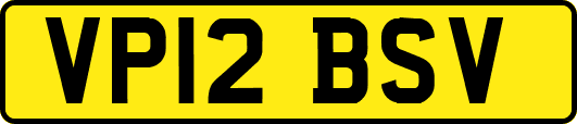 VP12BSV