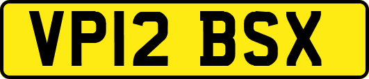 VP12BSX