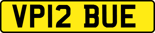 VP12BUE