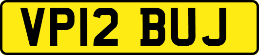 VP12BUJ