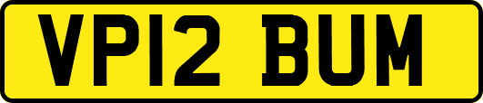 VP12BUM