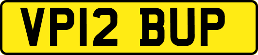 VP12BUP