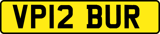VP12BUR