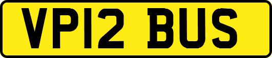 VP12BUS