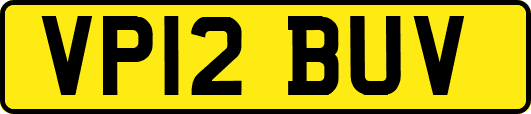 VP12BUV