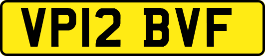 VP12BVF