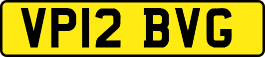 VP12BVG