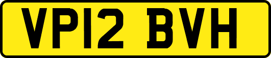 VP12BVH