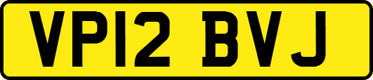 VP12BVJ