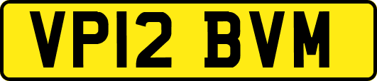 VP12BVM