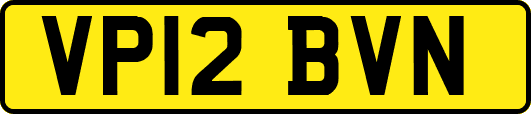 VP12BVN